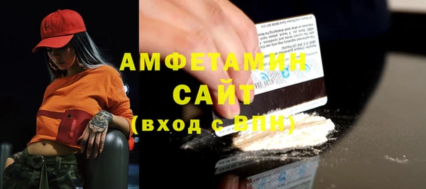 стаф Алзамай