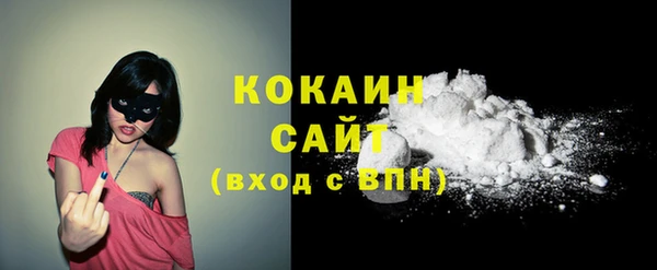соль ск Арсеньев