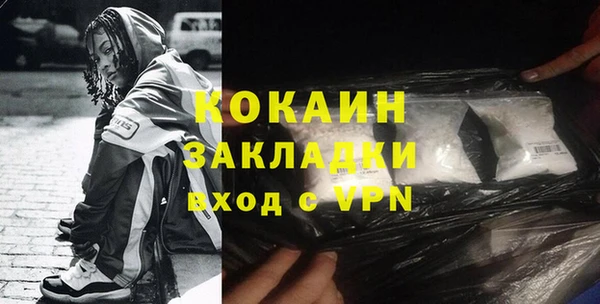стаф Алзамай