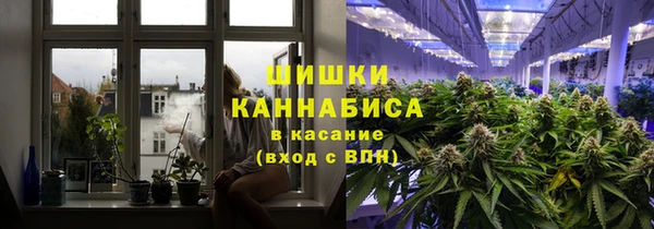 гидра Аркадак